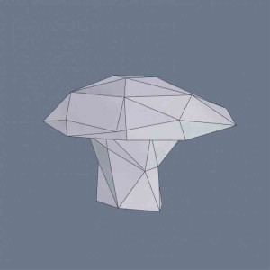 faceted object 2