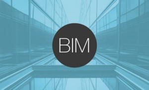 01 BIM t1