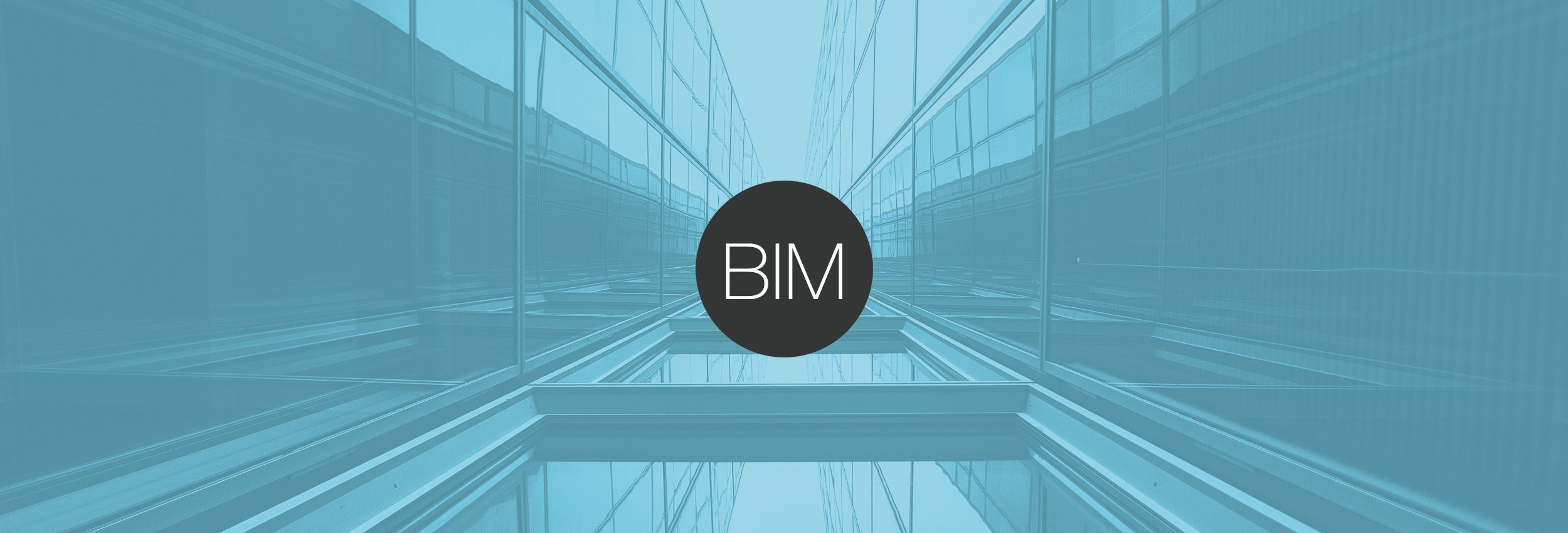 portada bim1